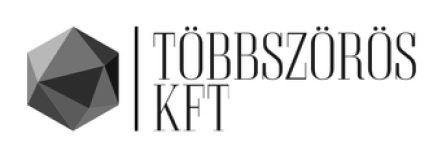 Többszörös Kft.